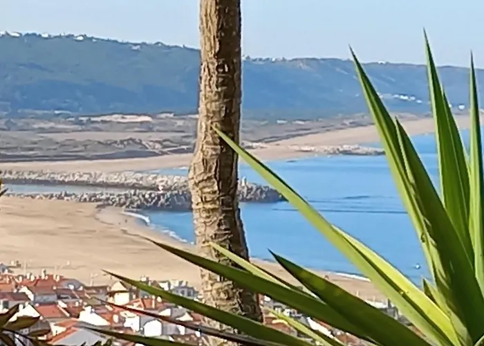 Apartamentos Bela Vista