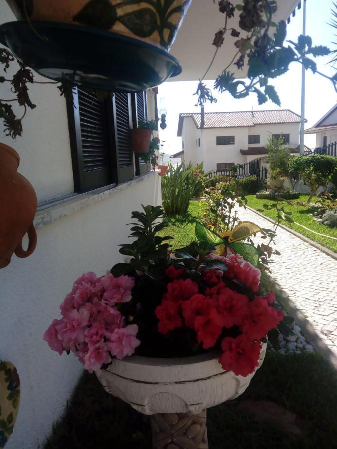 Bela Vista Nazaré