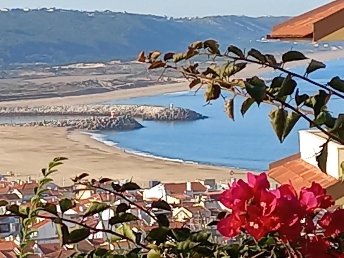 Apartment Bela Vista