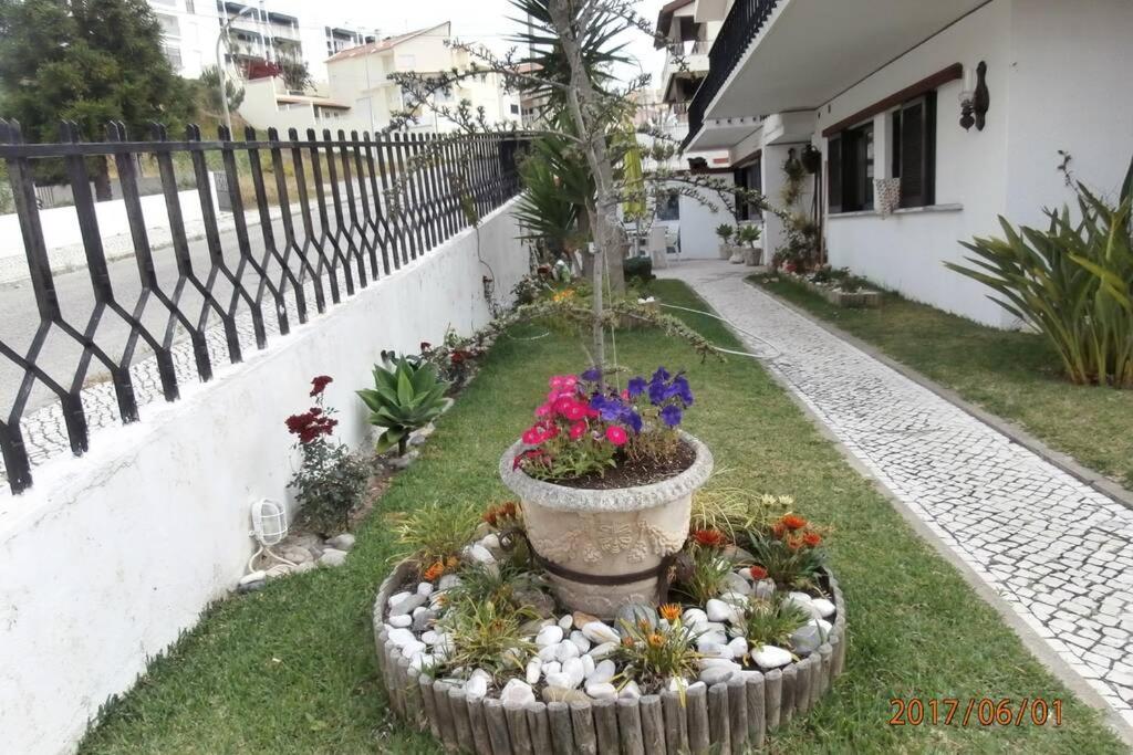 Bela Vista *